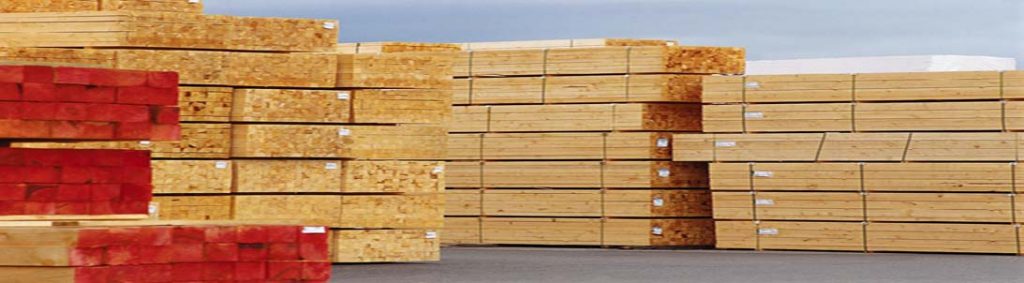 Gỗ Nguyên Liệu Nhập Khẩu: Sồi, Óc Chó, Tần Bì Xẻ Sấy | Gỗ Phương Nam