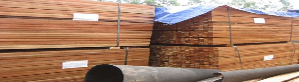 Gỗ Nguyên Liệu Nhập Khẩu: Sồi, Óc Chó, Tần Bì Xẻ Sấy | Gỗ Phương Nam