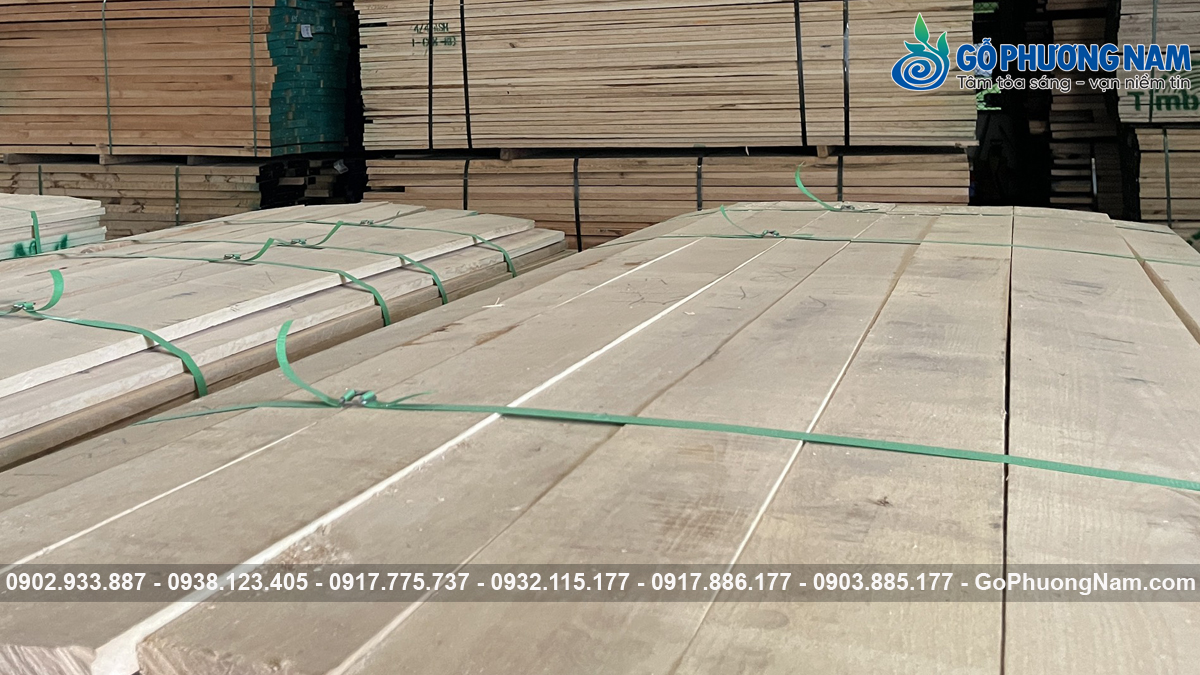 Gỗ Tần Bì Bao Nhiêu 1 Mét Khối nhập khẩu