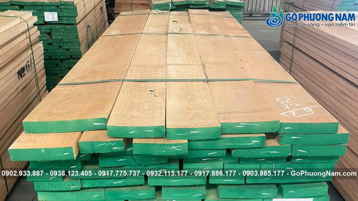 Địa chỉ mua gỗ Beech chất lượng giá tốt
