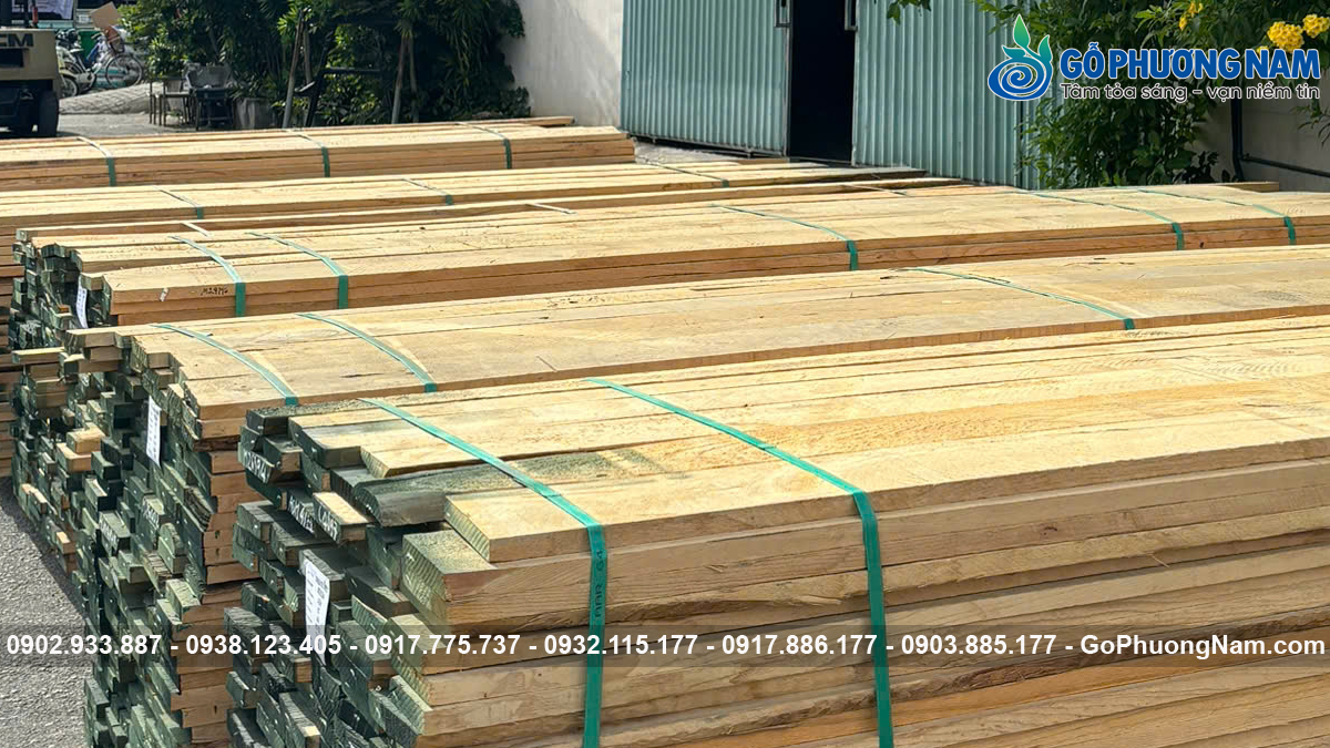 Gỗ Tần Bì giá tốt nhập khẩu nguyên liệu