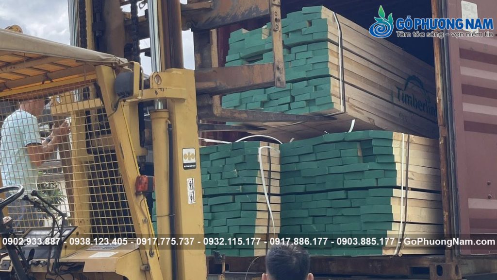 kho gỗ tần bì giá tốt năm nay