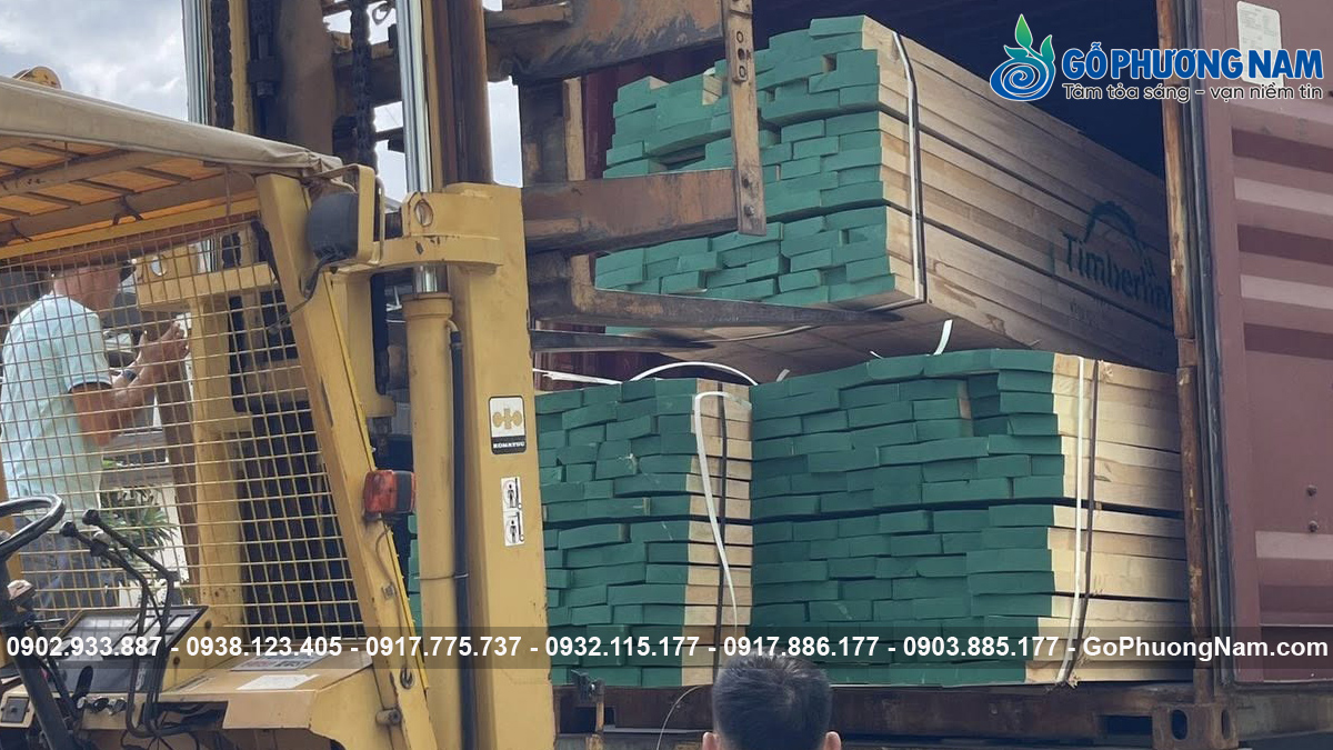 kho gỗ tần bì giá tốt năm nay