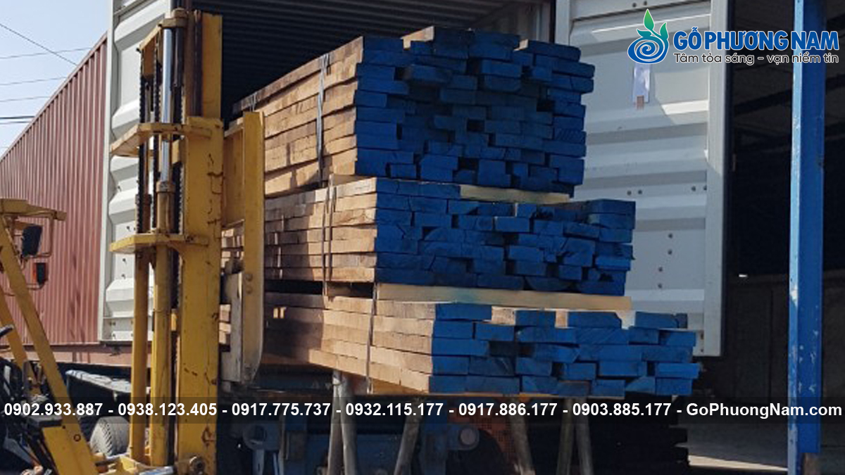 địa chỉ bán gỗ óc chó giá tốt năm nay địa chỉ bán gỗ óc chó giá tốt năm nay