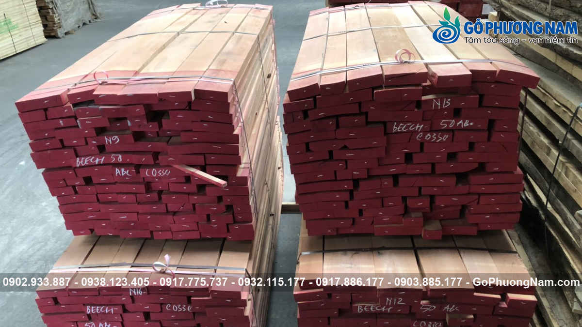 Giá bán gỗ Beech (Dẻ Gai) 2026 gỗ nhập khẩu