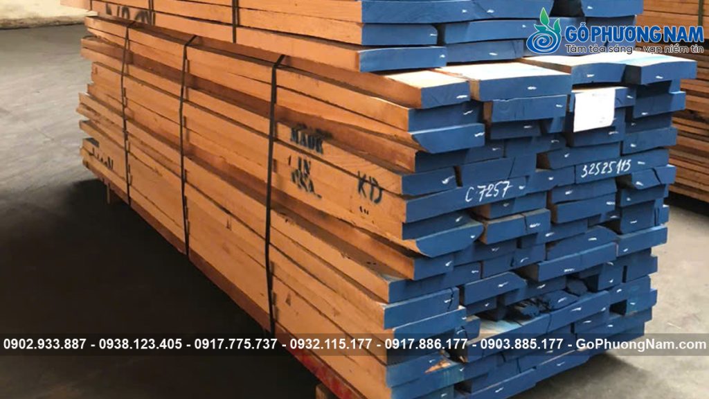 Gỗ Sồi Đỏ giá bao nhiêu 1m3 cập nhật mới nhất