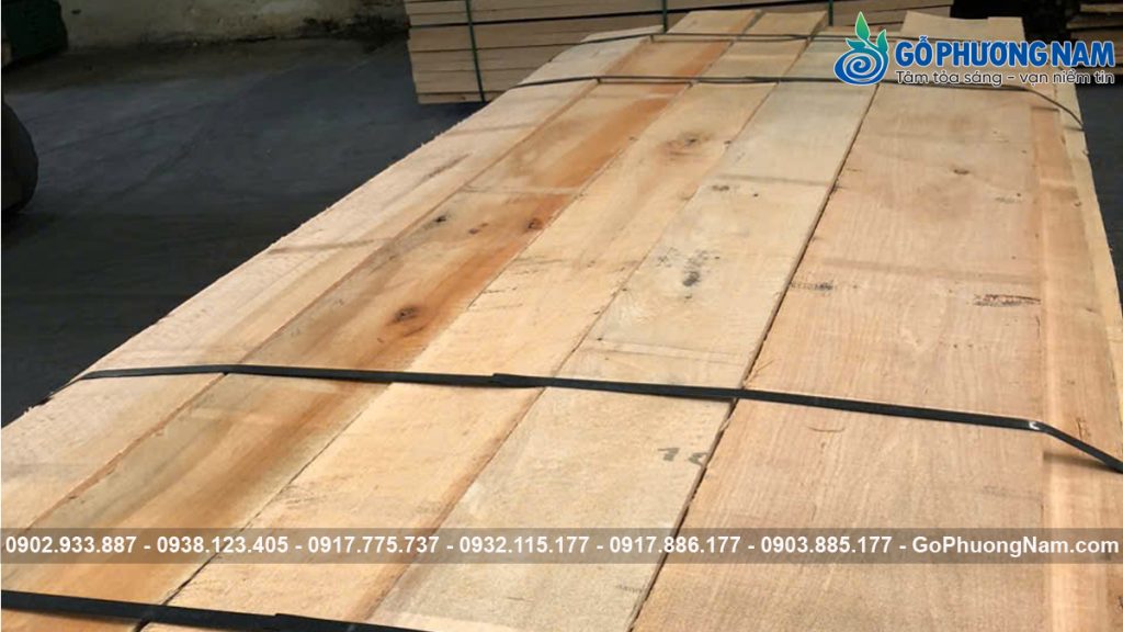 Gỗ Nguyên Liệu Nhập Khẩu: Sồi, Óc Chó, Tần Bì Xẻ Sấy | Gỗ Phương Nam