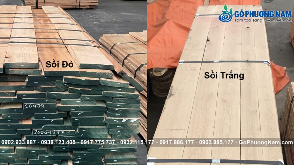 nơi bán gỗ sồi đỏ giá tốt hiện nay