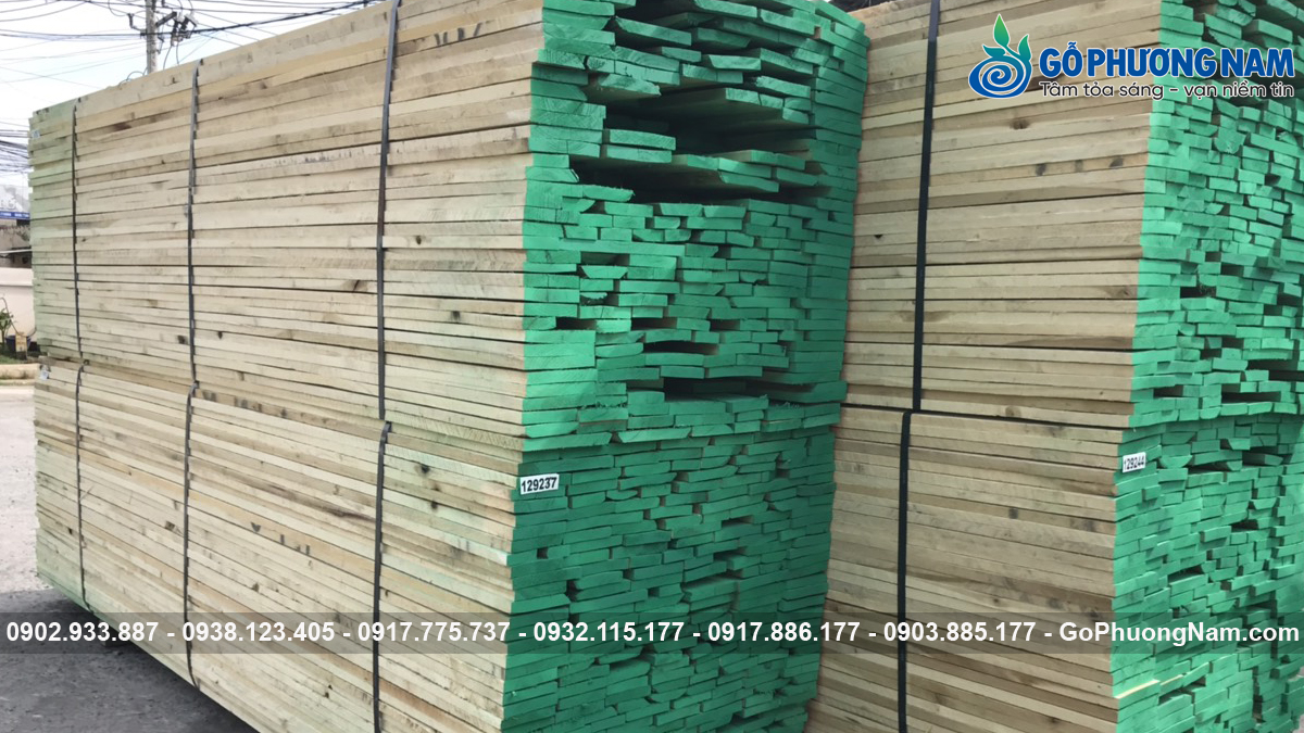 Địa chỉ kho gỗ Poplar nhập khẩu giá tốt