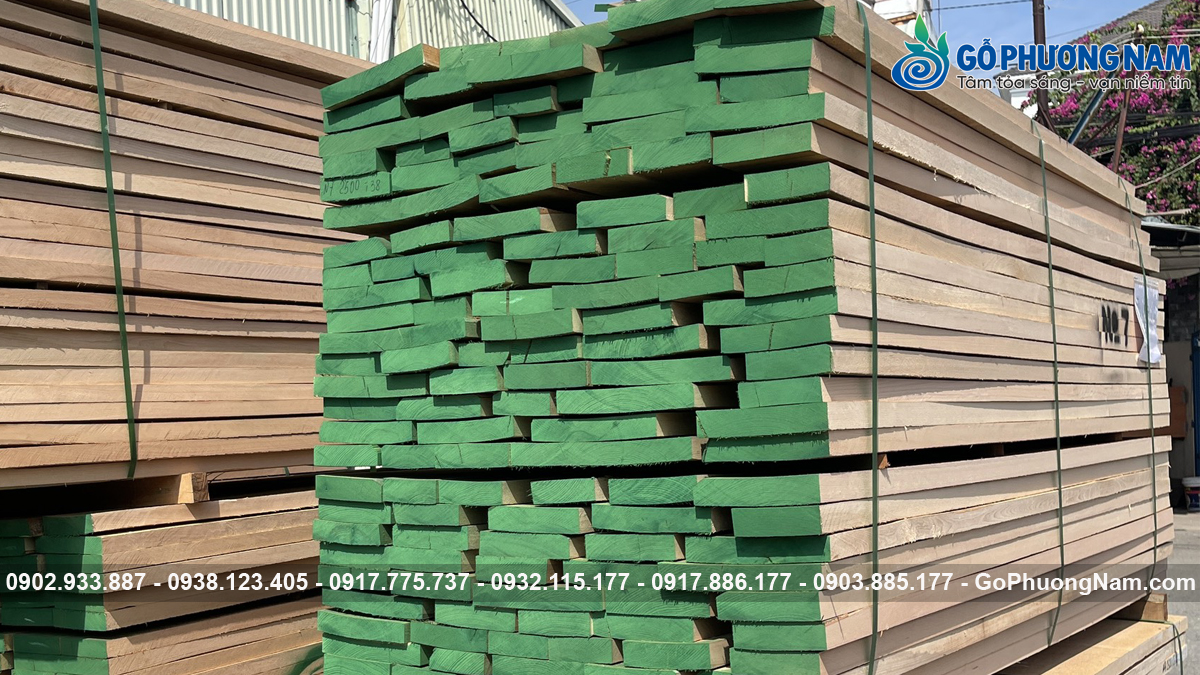 Địa chỉ mua gỗ Dẻ Gai chất lượng giá tốt bí quyết Địa chỉ mua gỗ Dẻ Gai chất lượng giá tốt bí quyết