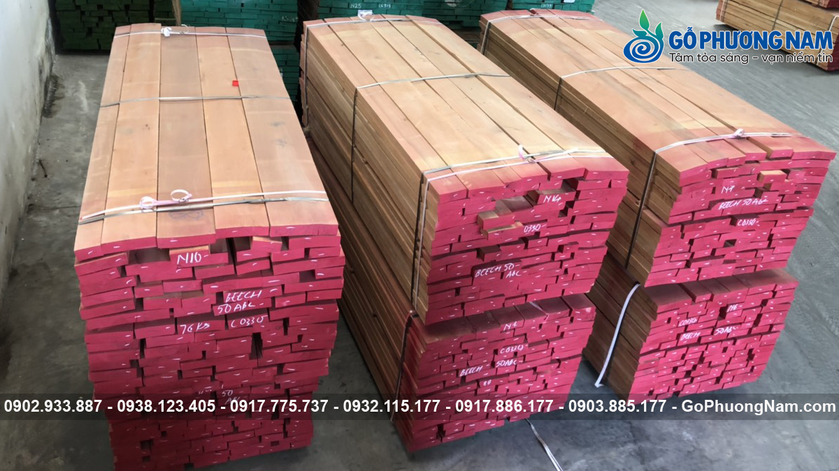 Địa chỉ mua gỗ Dẻ Gai chất lượng giá tốt hiện tại Địa chỉ mua gỗ Dẻ Gai chất lượng giá tốt hiện tại