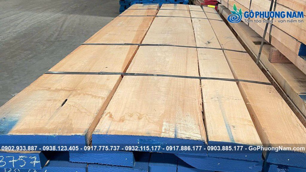 Gỗ Nguyên Liệu Nhập Khẩu: Sồi, Óc Chó, Tần Bì Xẻ Sấy | Gỗ Phương Nam