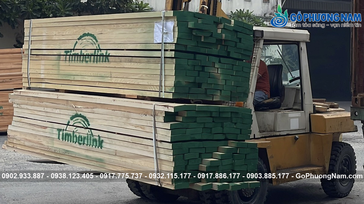 Giá mua gỗ tần bì chất lượng cao tại đơn vị phân phối uy tín giá Mua gỗ tần bì ở đâu tốt