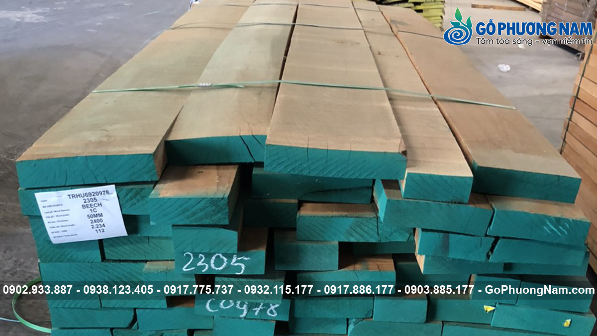 Gỗ Beech xẻ sấy giá tốt thị trường chất lượng