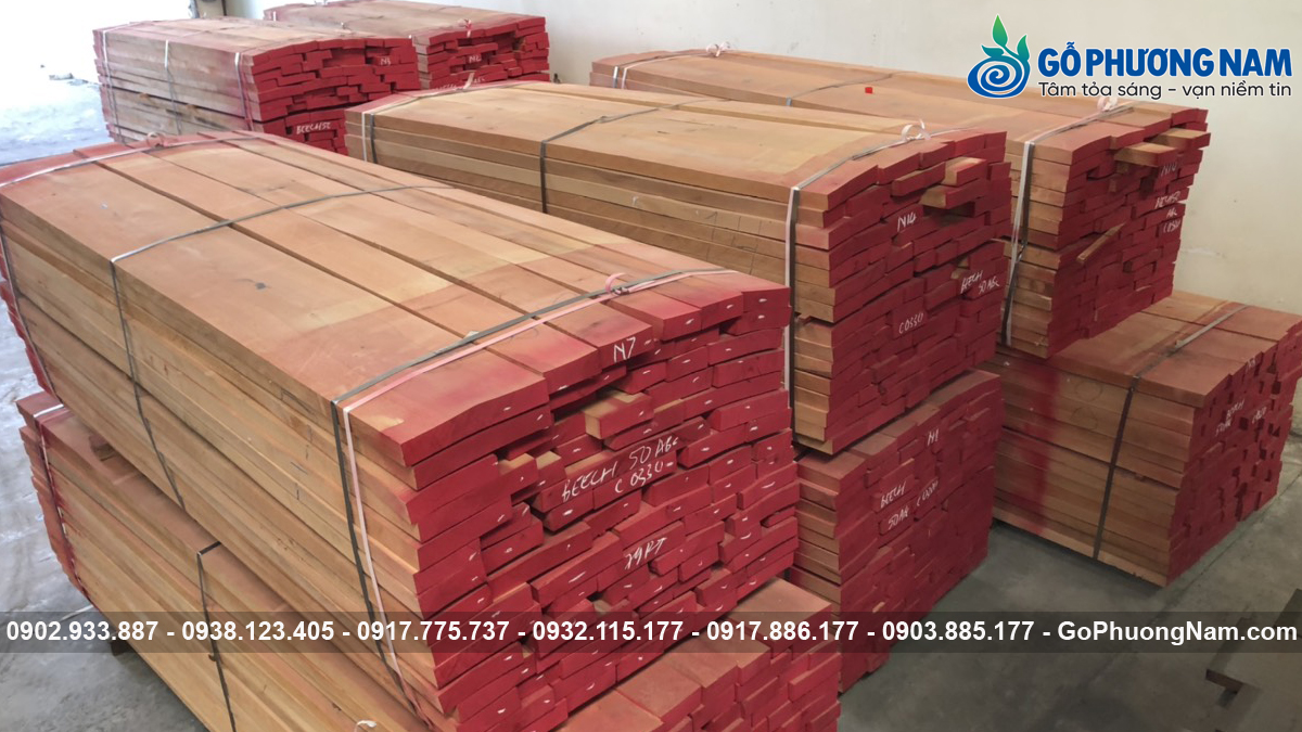 Gỗ Beech xẻ sấy giá tốt thị trường tiêu chuẩn