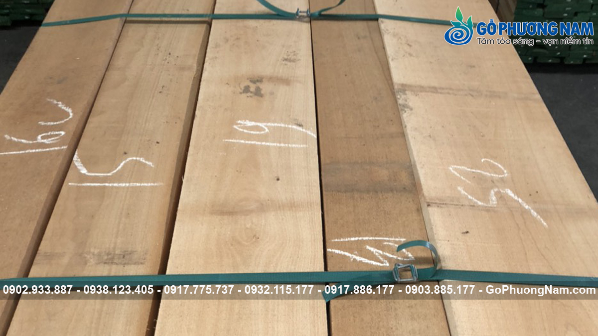 Gỗ Beech xẻ sấy giá tốt thị trường uy tín