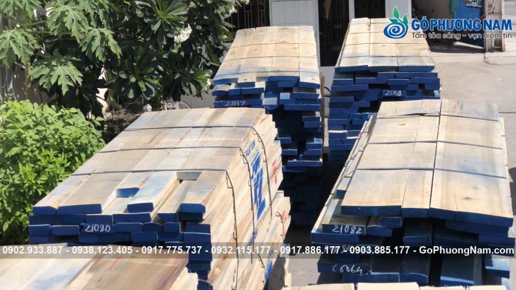 Gỗ Poplar nhập khẩu giá tốt cho xưởng mộc