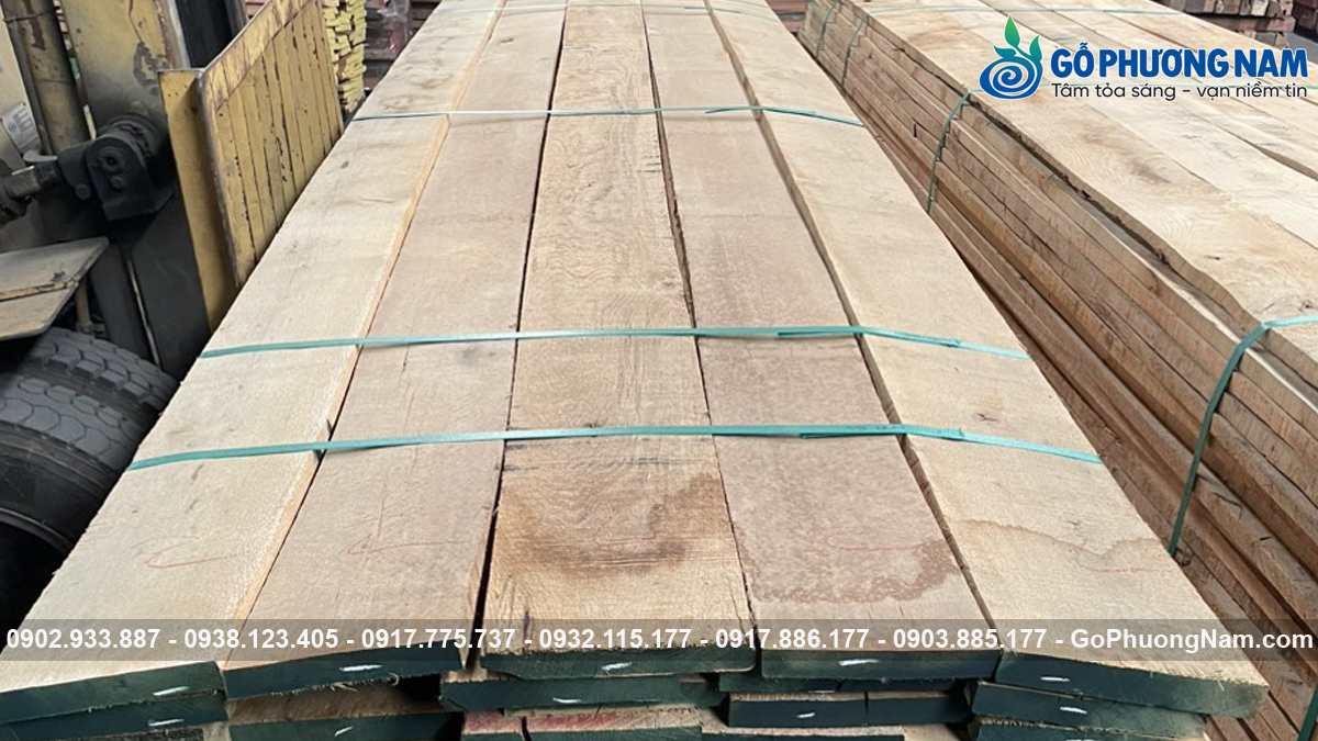 Gỗ Sồi Trắng gỗ sồi bao nhiêu 1 khối gỗ sồi trắng