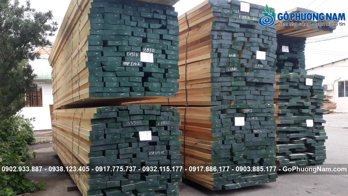 Kho gỗ Poplar nhập khẩu giá tốt uy tín