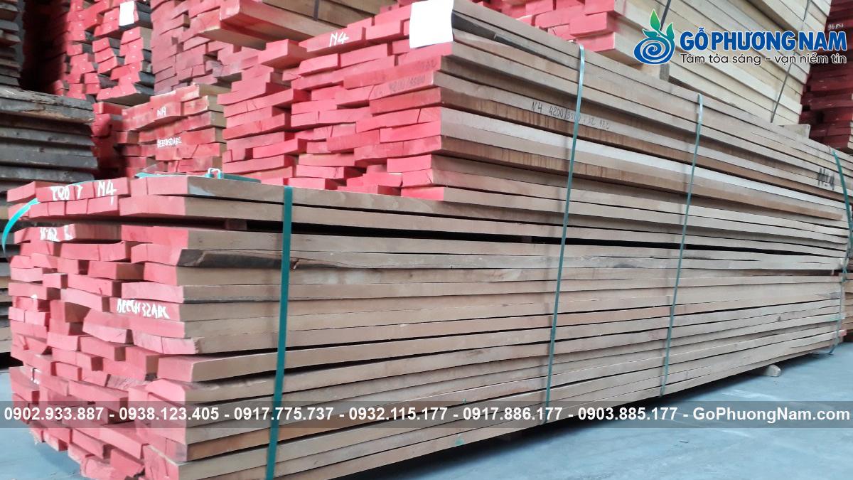 Mua gỗ dẻ gai giá rẻ chất lượng cho nội thất Mua gỗ dẻ gai giá rẻ chất lượng cho nội thất