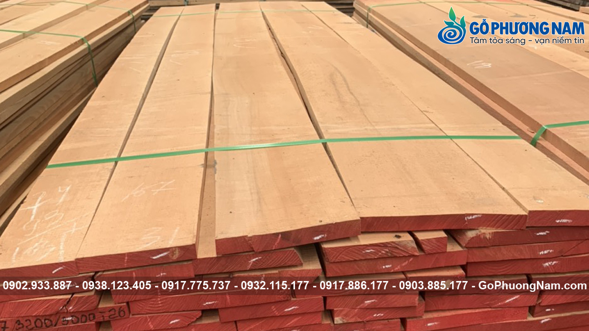 Mua gỗ dẻ gai giá rẻ thích hợp nội thất hiện đại Mua gỗ dẻ gai giá rẻ thích hợp nội thất hiện đại