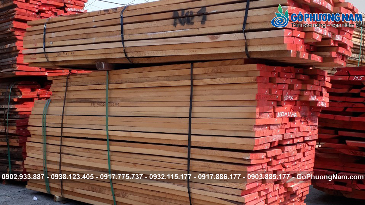 Mua gỗ dẻ gai giá rẻ từ nhà cung cấp uy tín Mua gỗ dẻ gai giá rẻ từ nhà cung cấp uy tín