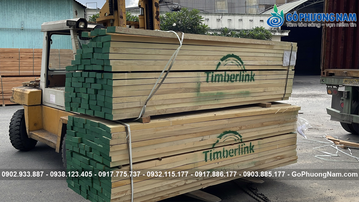 Gỗ tần bì (as) Mua gỗ tần bì ở đâu tốt cho xưởng