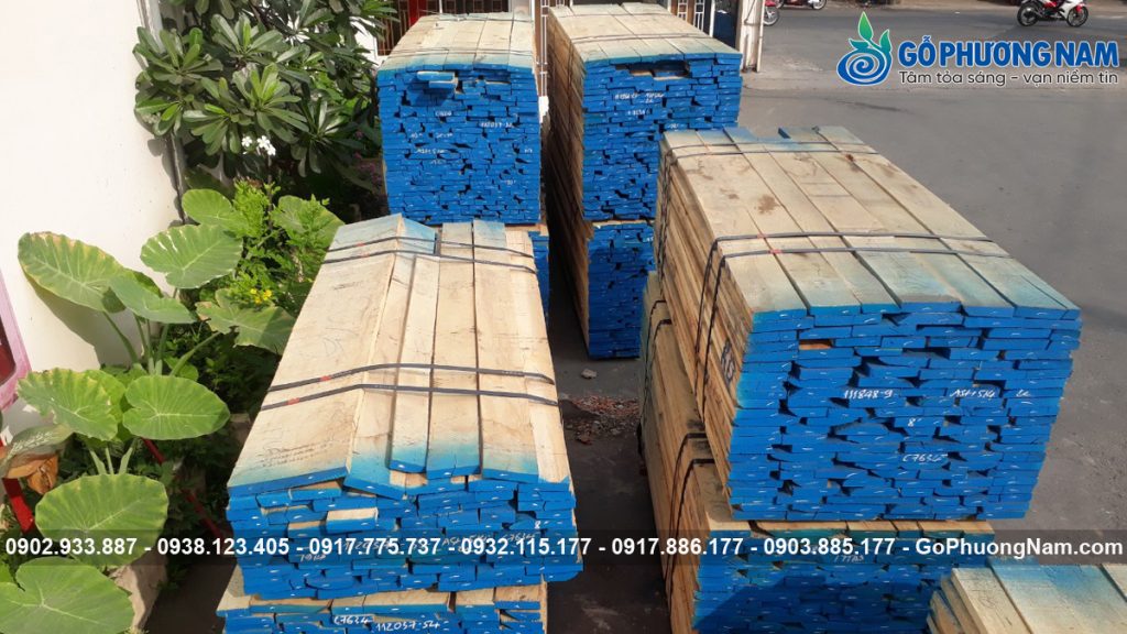 Nhà cung cấp gỗ tần bì cho xưởng sản xuất