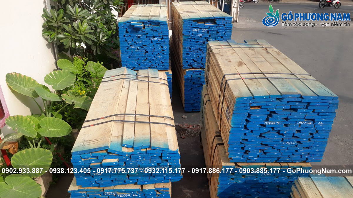 Nhà cung cấp gỗ tần bì cho xưởng sản xuất