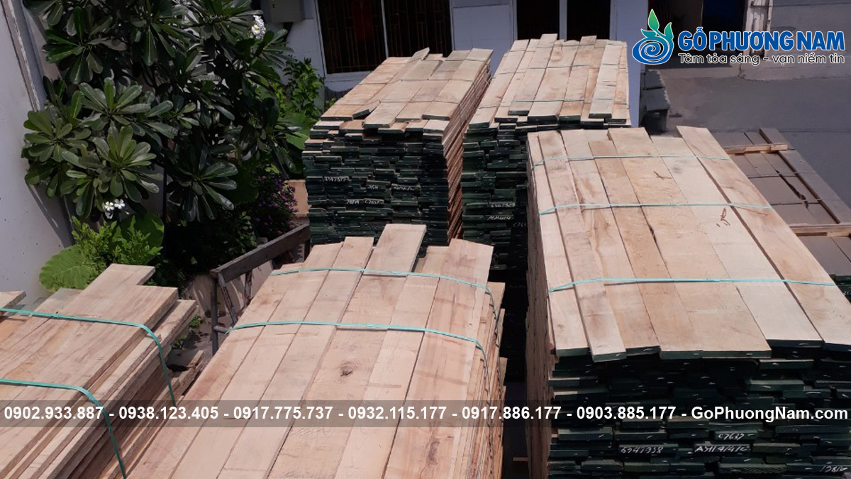 Nhà cung cấp gỗ tần bì uy tín tại Việt Nam