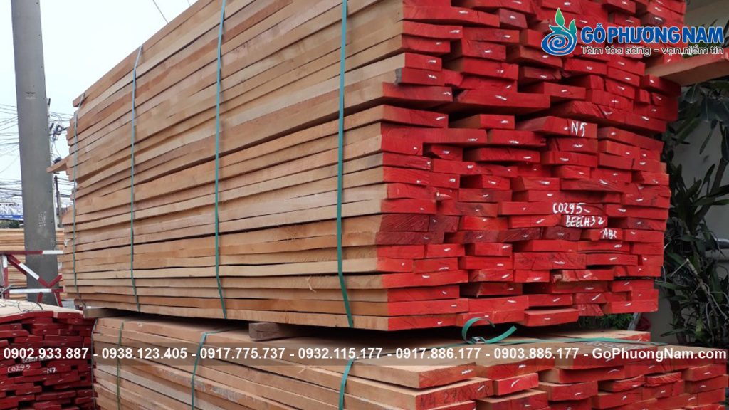 Báo giá bán gỗ Beech nhập khẩu mới nhất