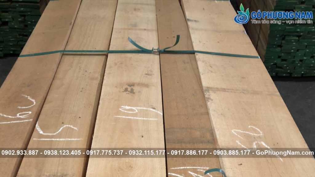 Gỗ Nguyên Liệu Nhập Khẩu: Sồi, Óc Chó, Tần Bì Xẻ Sấy | Gỗ Phương Nam