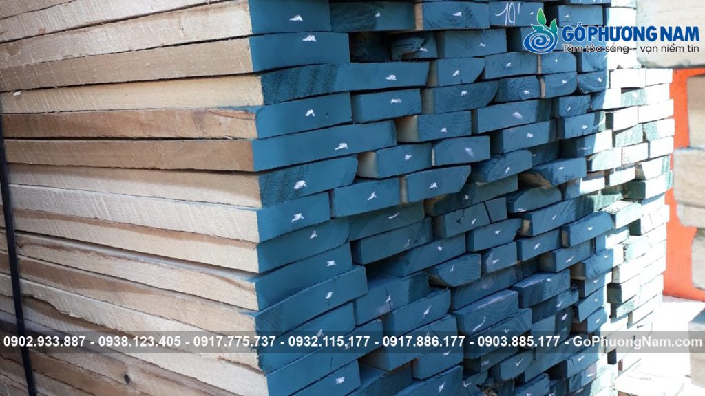 Cập nhật giá gỗ Poplar nhập khẩu mới