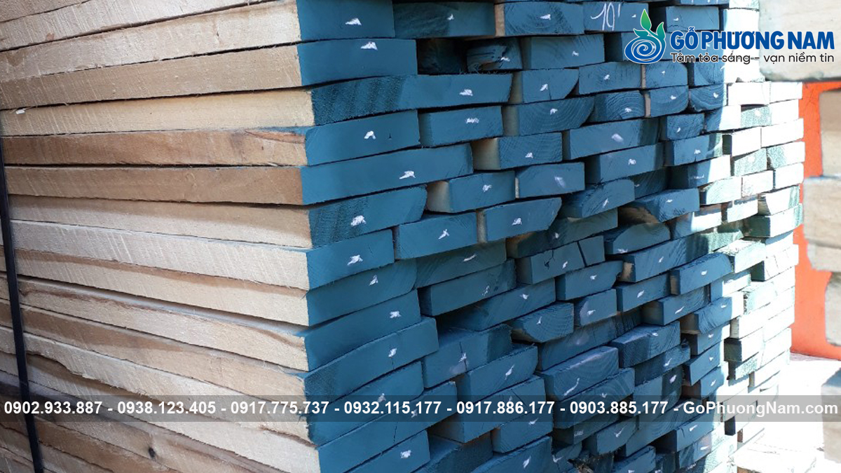 Cập nhật giá gỗ Poplar nhập khẩu mới