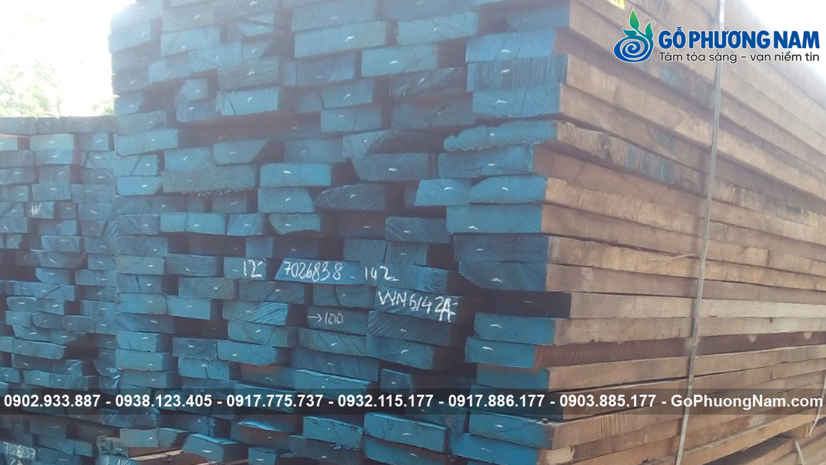 cung cấp gỗ óc chó nguồn gốc rõ ràng