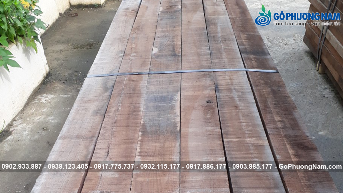 gỗ óc chó giá sỉ ở đâu có sẵn kho