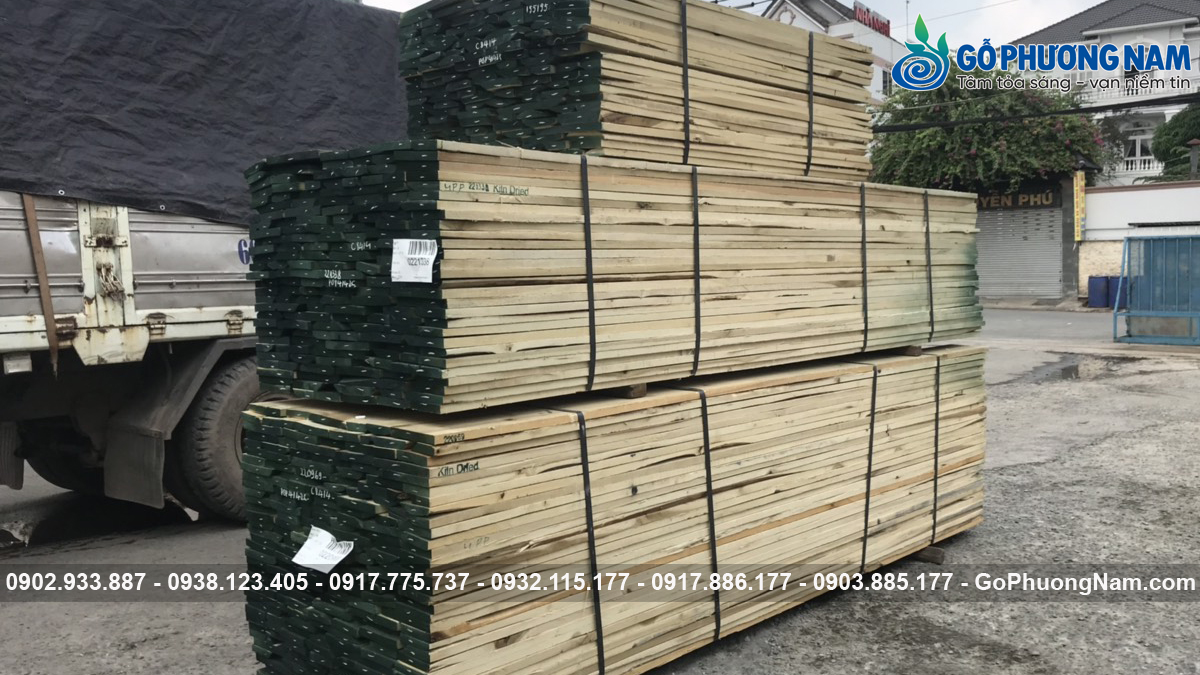 gỗ Poplar bao nhiêu 1 khối hôm nay
