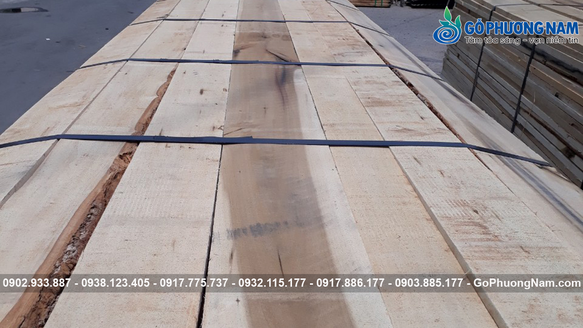 gỗ Poplar dùng sản xuất bao nhiêu 1 khối