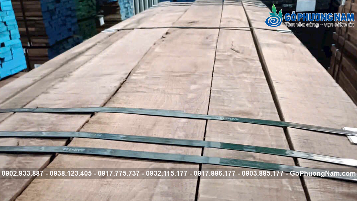 Mua gỗ óc chó giá sỉ ở đâu cho dự án