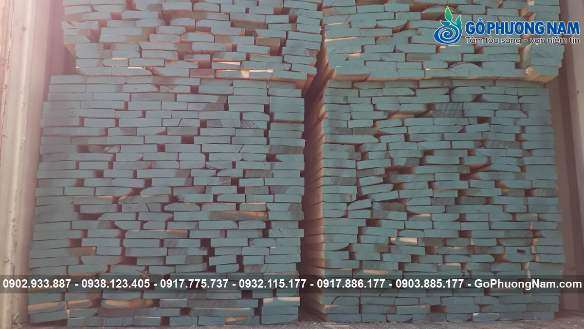 mua gỗ poplar nhập khẩu