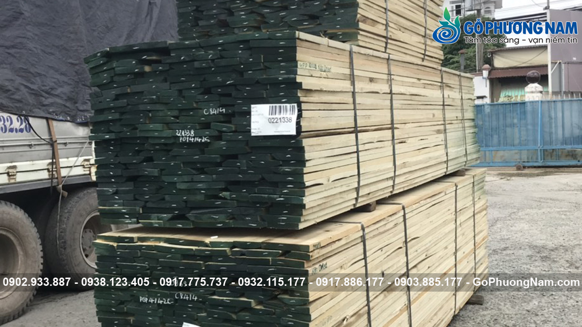 Ưu nhược điểm gỗ poplar trong nội thất