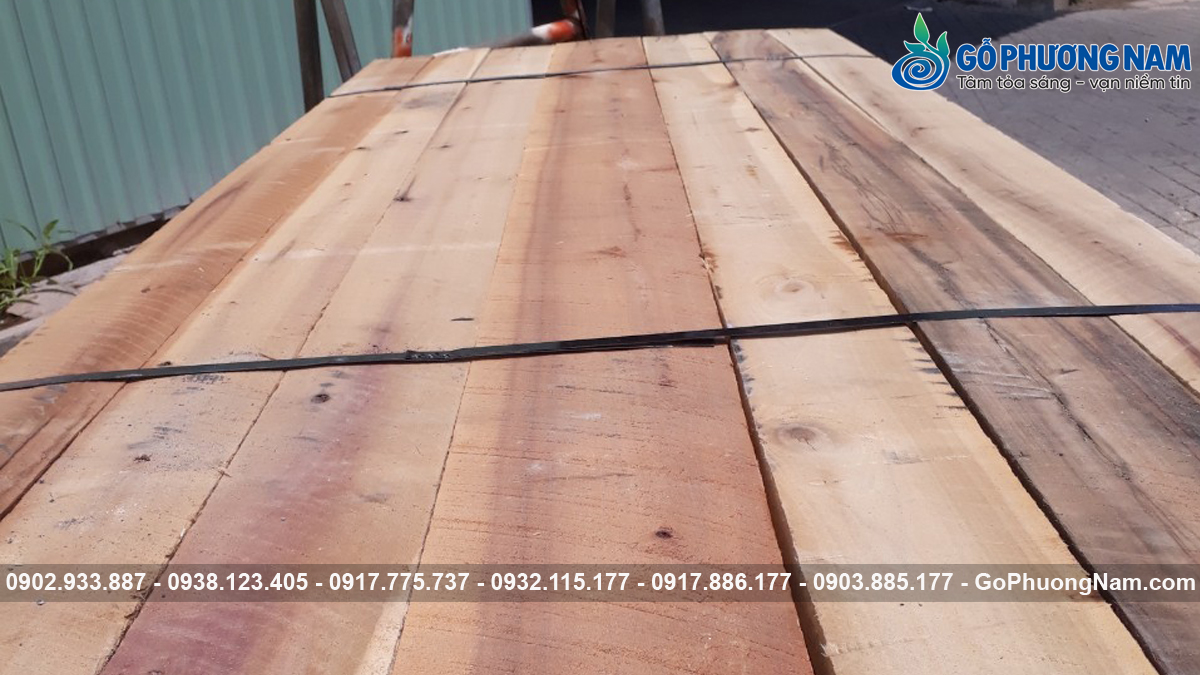 Ưu nhược điểm gỗ poplar tự nhiên