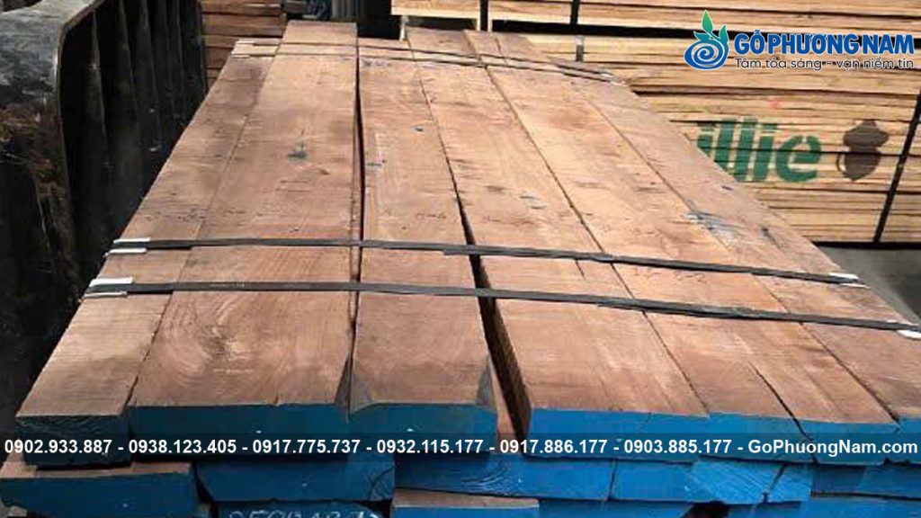 Gỗ Nguyên Liệu Nhập Khẩu: Sồi, Óc Chó, Tần Bì Xẻ Sấy | Gỗ Phương Nam