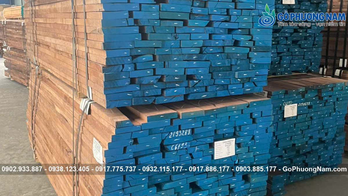 gỗ Óc Chó (Walnut) 2026 giá mới nhất