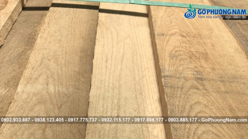Gỗ Nguyên Liệu Nhập Khẩu: Sồi, Óc Chó, Tần Bì Xẻ Sấy | Gỗ Phương Nam