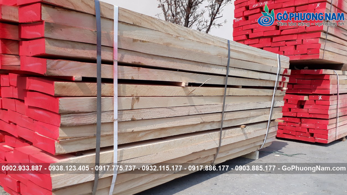 Bảng giá gỗ tần bì 1 khối mới cập nhật