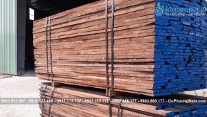 Đơn vị cung cấp gỗ óc chó uy tín có sẵn kho