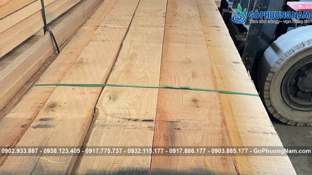 Gỗ Nguyên Liệu Nhập Khẩu: Sồi, Óc Chó, Tần Bì Xẻ Sấy | Gỗ Phương Nam