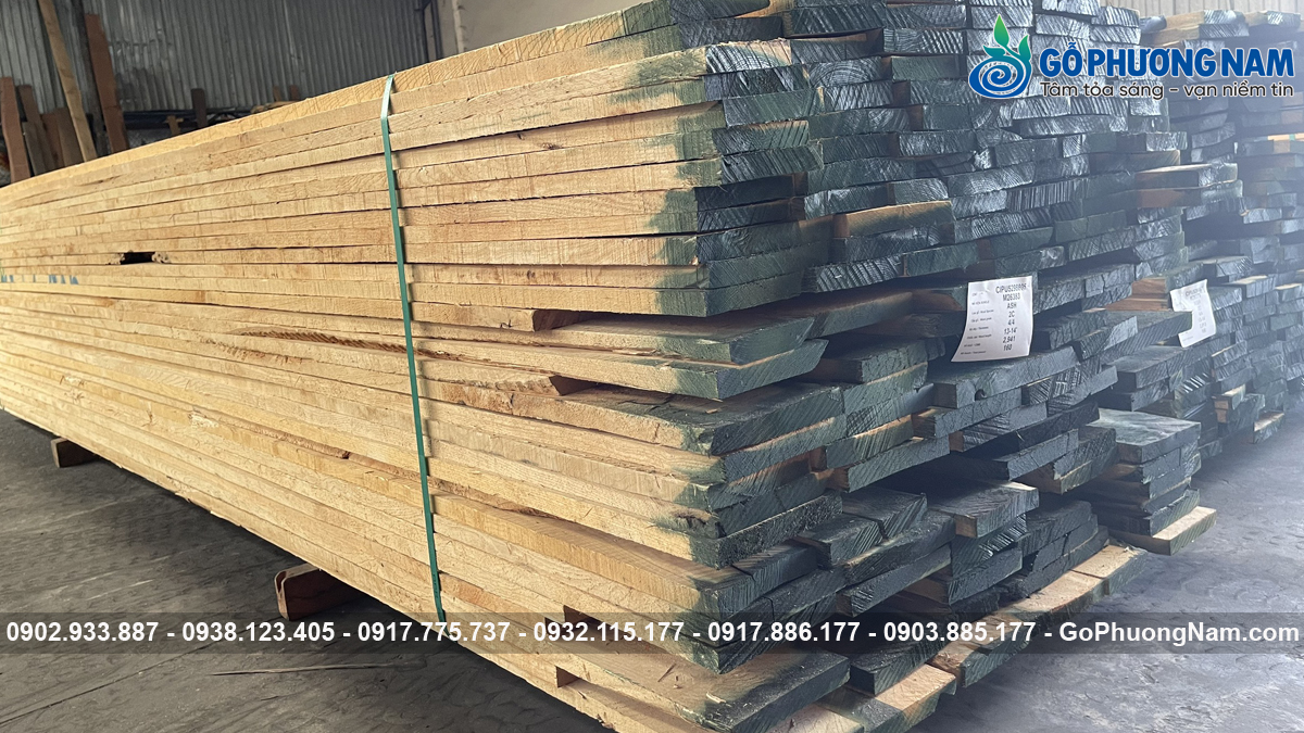 Báo giá gỗ tần bì quy cách đa dạng Báo giá gỗ tần bì quy cách đa dạng