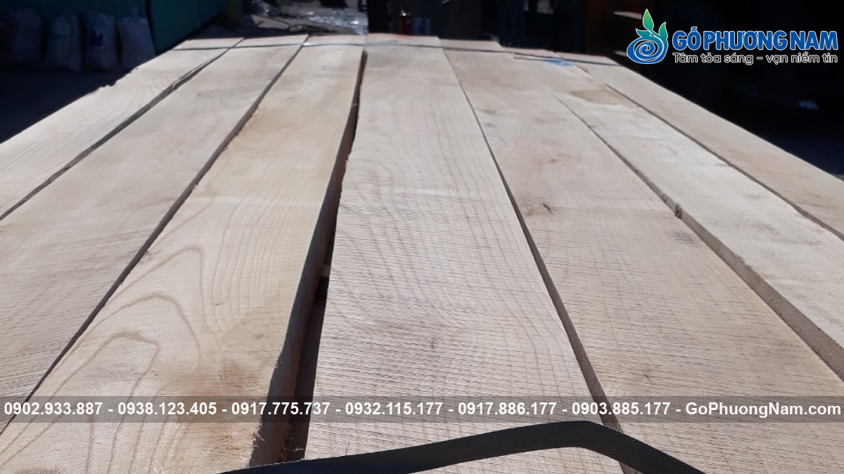 Cập nhật giá gỗ tần bì xẻ sấy theo khối